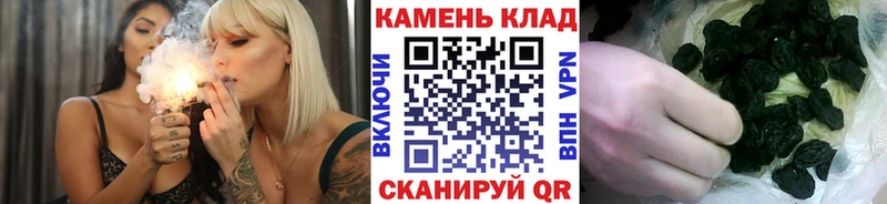  Cocaine Суджа
