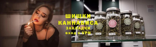 альфа пвп Дмитровск