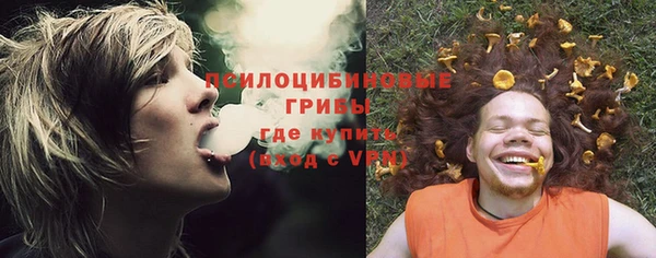 гидра Дмитриев