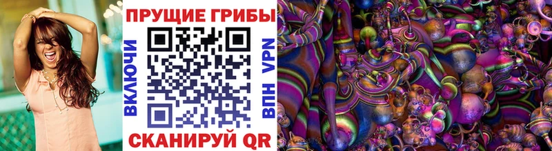 Псилоцибиновые грибы мицелий  Купить закладки  Суджа 